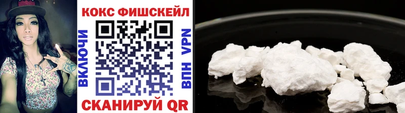 КОКАИН FishScale  Купить закладки  Луза 