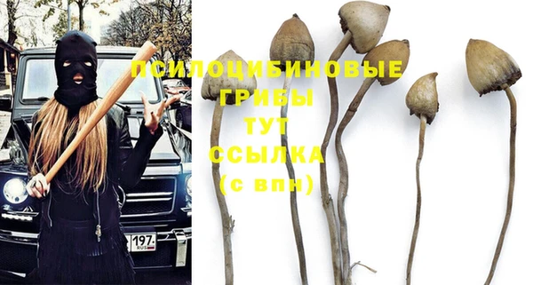 метадон Белокуриха
