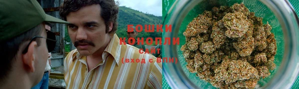 метадон Белокуриха