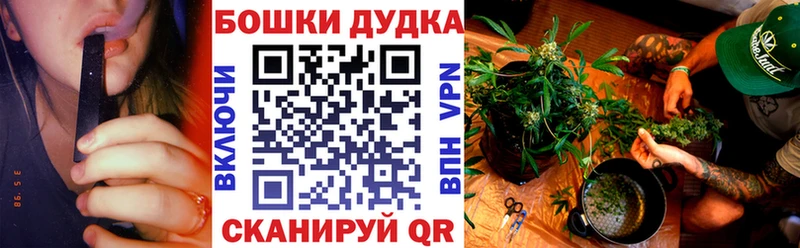 Каннабис AK-47  Купить где  Луза 